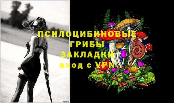 шишки Протвино